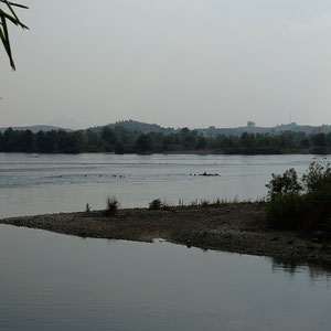Fluss Buna, der Abfluss aus dem Skutarisee