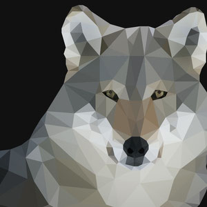 Polygon Design Wolf - © Leon Frohnert