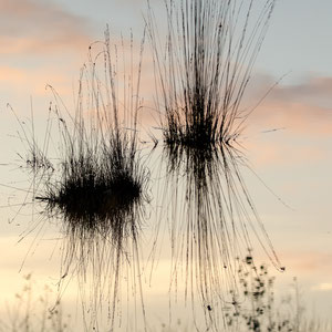 Im Himmel, Theo Stenert