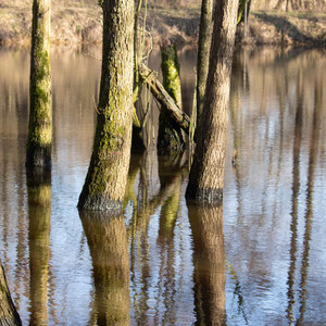 (Ohne Titel), Heiko Friedel