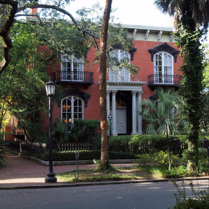 Savannah 