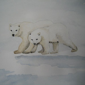 Zwei Eisbären