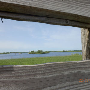 Bargerveen