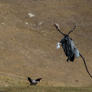 Azerbaijan - Auf dem Fahrt von Quba nach Xinaliq