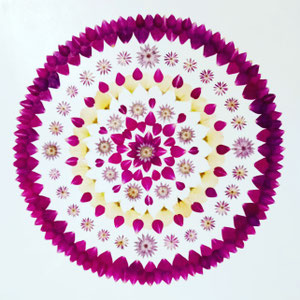 Aus den gepressten Blüten des Brautstrausses fertigt die Künstlerin ein Kunstwerk für die Ewigkeit. Es ist ein Mandala 60 x 60 mit Rosen Astrantien Eustomien