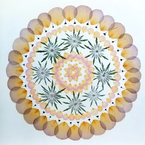 Aus den gepressten Blüten des Brautstrausses gestaltetes Kunstwerk für die Ewigkeit. Es ist ein Mandala mit Rosen, Distel und hellen Blüten. Sehr feine Strukturen sind sichtbar.