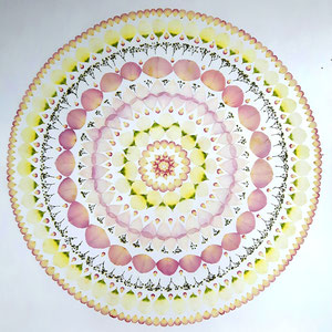 Aus den gepressten Blüten des Brautstrausses entstand ein Kunstwerk für die Ewigkeit. Es ist ein Mandala mit Rosen, Eustomia und Kornblumen auf hellem Untergrund. 