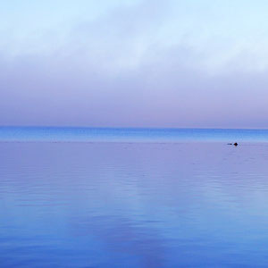... für erholsame Erlebnisse am und auf dem See ..