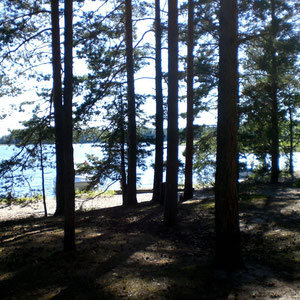 Strand und Wald. Das könnte der Blick aus einem unserer Zelte sein, die Sie nach Verfügbarkeit kostenlos mitbenutzen können.