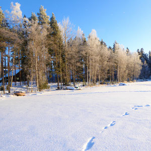 Die Bucht vor Ihrem Haus im Winter. Rechts an Land, Ihr Domizil. Keine Eisstraßen in der näheren oder weiteren Umgebung, da Naturschutzgebiet. LL Loipen auch auf dem See, schnell erreichbar