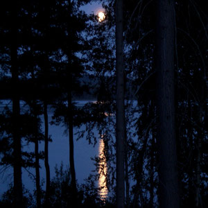 Träumen Sie bei Vollmond auf dem Balkon des Mökkis und genießen Sie ungestört zu zweit das Rauschen und nächtliche Glitzern des Sees. Auch ein Uhu hat uns bei Vollmond schon auf dem Balkon besucht! Nächtlicher Blick vom Balkon im Herbst