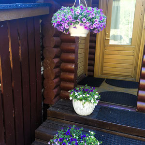 Backdoor at the terrace. Entrance to your shower room and indoor sauna. Beside: shelter for the firewood and shelter at the terrace with your skis, fishing- and basic equipment ...