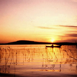 Genießen Sie entspanntes Angeln beim Sonnenaufgang in den Schilfzonen in der Bucht vor Ihrem Ferienhaus. Im Hintergrund das Gebiet Ihres Domizils mit nahem "Berg" mit Aussichtsturm