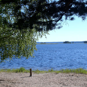Genießen Sie die Insel, die nordische Wälder an Sandstränden und die mal kleineren und größeren Buchten.