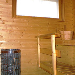 Daylight electric indoor sauna with big stove and floor heating