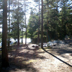 Hier blicken Sie auf einen Grillplatz nahe dem Sandstrand. Die Plätze sind zum Teil sogar mit WC-Anlagen an einzelnen Stränden bzw. Feuerstellen mit Zeltmöglichkeiten eingerichtet.