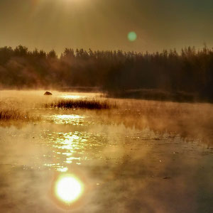 Herbst im Finnland am Ferienhaus. Das Schönste im Leben, ist das Geheimnisvolle