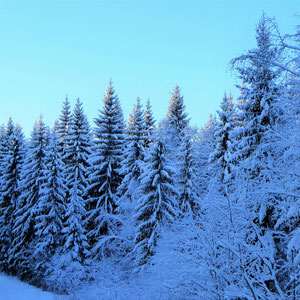 Winterwonderland direkt am Haus