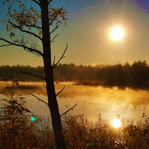 Herbst im Finnland am Ferienhaus. Das Schönste im Leben, ist das Geheimnisvolle