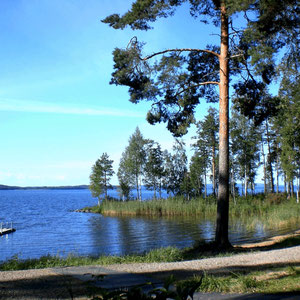 Kiefern statt Palmen! Ein Hauch von südlichem Flair im Sommer bei 30 Grad erleben. Badebucht der Anlieger mit Sandstrand, ca. 300 m vom Haus entfernt