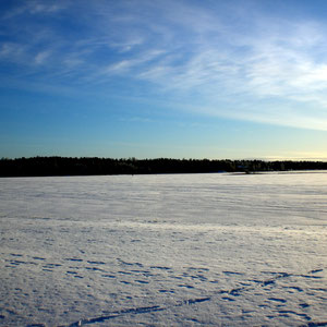 Jetzt nichts wie raus! Sonniger polarer Wintertag am Mökki. Schneebehaubte Bäume. Ein gefrorener See in der Sonne, der zu Nordic Skiing oder zu Spaziergängen einlädt. Langlaufski u. Schneeschuhe s. "All inclusive".  Sunny arctic winter´s day