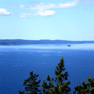 360 Grad Panoramablick auf den See von dem nahen Aussichtsturm, fußläufig direkt vom Haus erreichbar