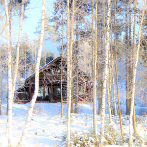 Jetzt nichts wie raus! Sonniger polarer Wintertag am Mökki. Schneebehaubte Bäume. Ein gefrorener See in der Sonne, der zu Nordic Skiing oder zu Spaziergängen einlädt. Langlaufski u. Schneeschuhe s. "All inclusive".  Sunny arctic winter´s day.
