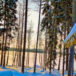 Träumen Sie beim Sonnenuntergang im Winter und genießen Sie die Winterlandschaft am See Ihres Ferienhauses in Finnland