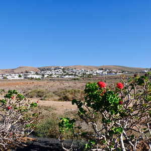 Teguise Lanzarote