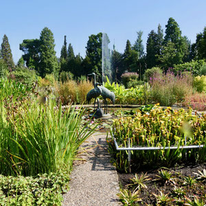 Sehenswürdigkeit Deutschland Bonn, Poppelsdorfer Schloss Botanischer Garten Universität