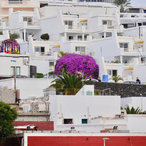 Puerto del Carmen Lanzarote