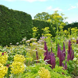 Gartenreise nach England Great Dixter Garden