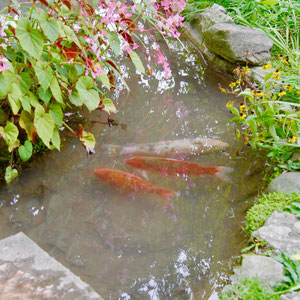 Parco Botanico Andre Heller Gardone Gardasee Italien