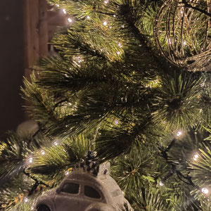 Contrastes Décoration - NOEL