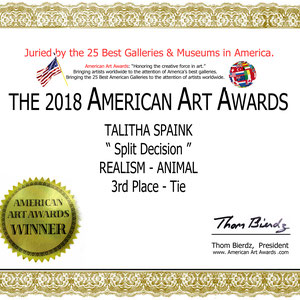 Mijn gewonnen 'American Art Award 2018'