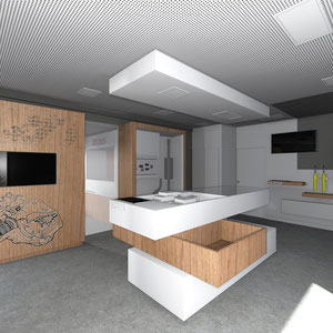 VUE 3D SUR SHOW-ROOM 6