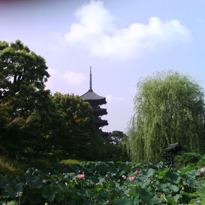 京都のランドマーク　東寺五重の塔