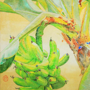 《南国の果》  33.3×24.2cm　2016
