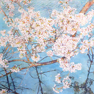 《ハルモヨウ》  72.7×72.7cm　2015