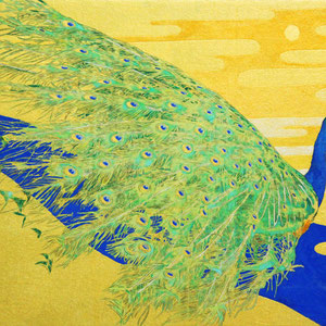 《孔雀》　31.8×41.0cm　2016