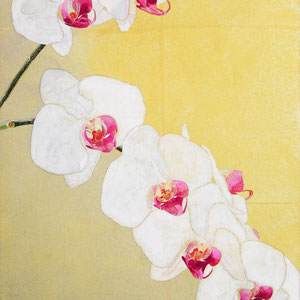 《胡蝶蘭》  33.3×24.2cm　2016