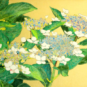 《額紫陽花》  24.2×33.3cm　2017