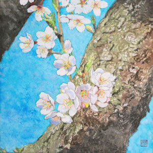 《優》　27.3×27.3cm　2013