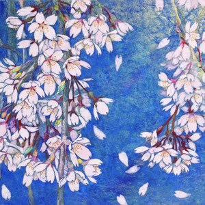 《枝垂れ桜》  24.2×33.3cm　2015