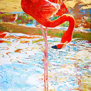 《Flamingo》　M30　2023