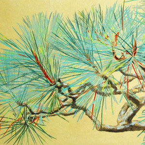《松》　22.0×37.3cm　2015