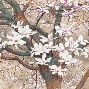 《木蓮》　45.5×53.0cm　2013　　