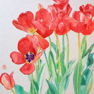 《Tulip》　33.3×33.3　2016