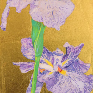 《花菖蒲》　SM　2022