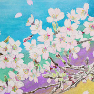 《さくら》  27.3×41.0cm　2016